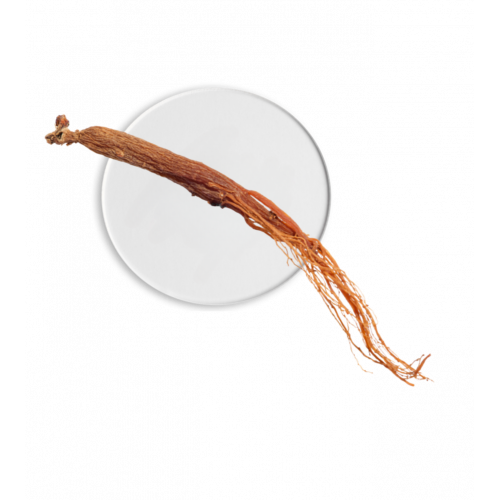 Erborian BB Crème au Ginseng Teinte Nude SPF 20 – 40 ml